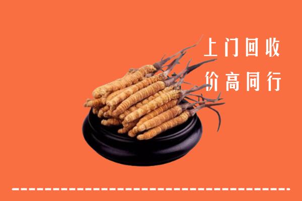 高价求购：北京市大兴回收散虫草