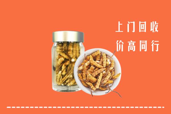 北京市大兴回收冬虫夏草